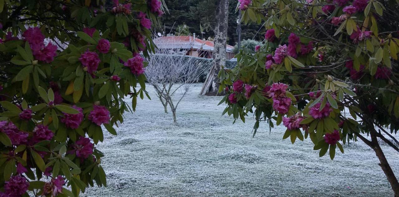 Recanto Da Natureza, Chale Gonçalves Εξωτερικό φωτογραφία