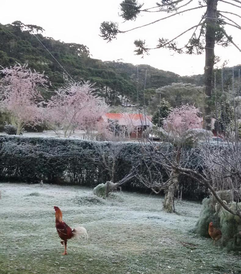 Recanto Da Natureza, Chale Gonçalves Εξωτερικό φωτογραφία