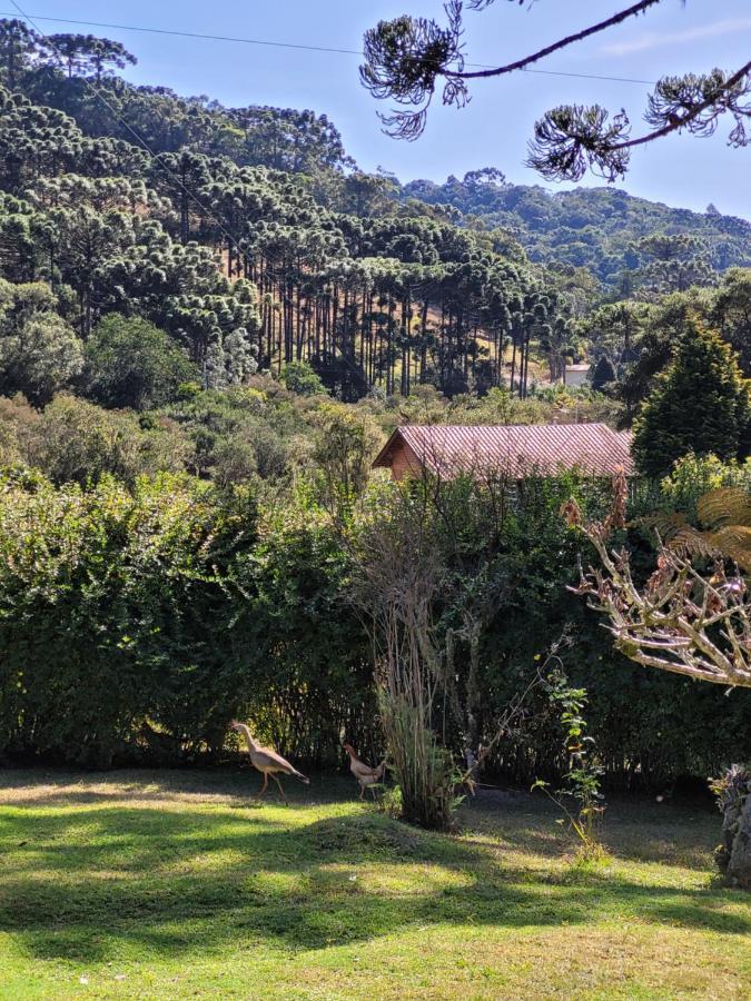 Recanto Da Natureza, Chale Gonçalves Εξωτερικό φωτογραφία